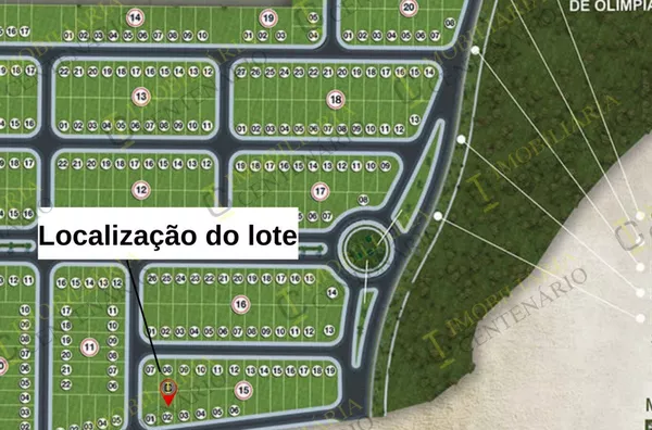 ÚLTIMOS LOTES