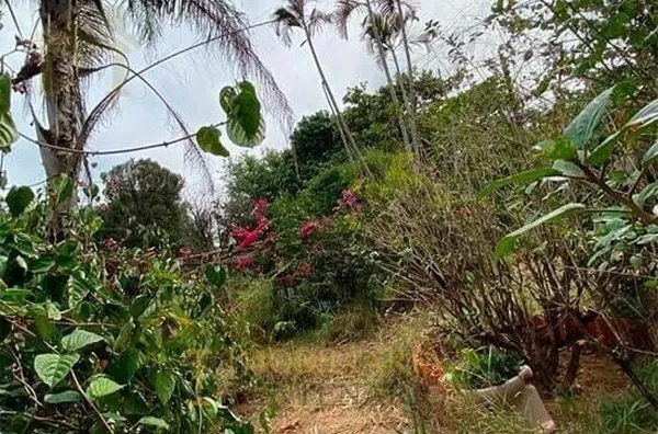 Chácara à venda,  - Jardim blanco, Olímpia/SP - Foto 4