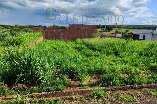 Terreno à Venda, Jardim Amélia Dionísio , Olímpia-SP - Foto 4