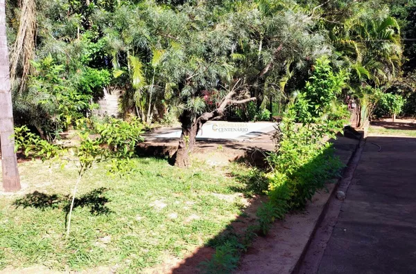 Sítio à venda,  Recanto Bela Vista, Olímpia/SP - Localizado a 15 minutos do Thermas dos Laranjais - Foto 4