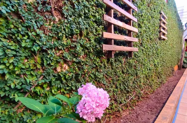 Casa Family House┃Temporada┃Acomoda até 6 pessoas┃Olímpia-SP 