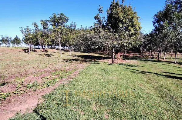 Sítio à venda,  Recanto Bela Vista, Olímpia/SP - Localizado a 15 minutos do Thermas dos Laranjais - Foto 6