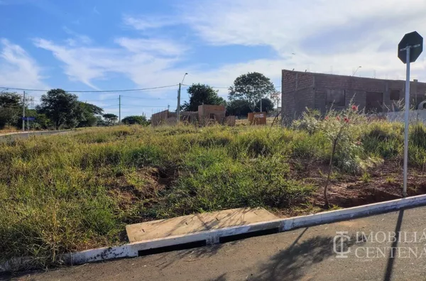 Terreno de esquina à venda,  Residencial Terras de Olímpia, Olímpia/SP - Foto 3