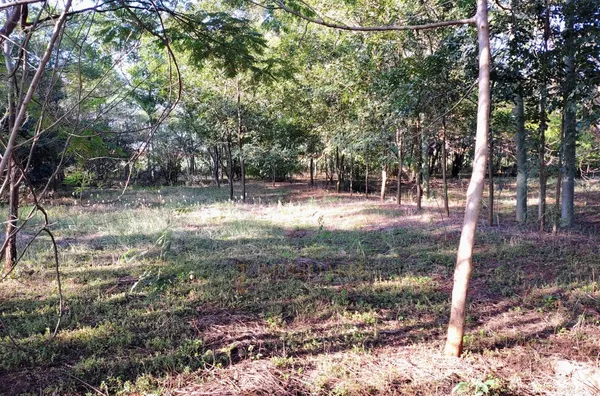 Sítio à venda,  área Rural de Olímpia, Olímpia/SP - Próximo a Kimberlit - Foto 6