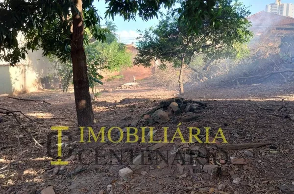 Terreno à venda,  Jardim Glória, Olímpias/SP - Foto 5