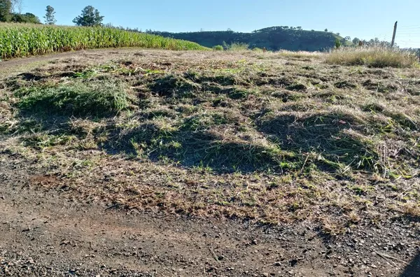 Chácara para venda,  - Selecione - Bairro, Londrina