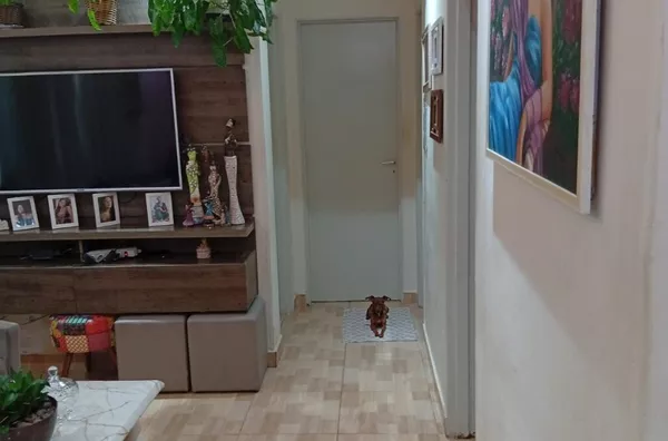 Apartamento para venda, 2 quarto(s),  Jardim Santa Cruz, Londrina