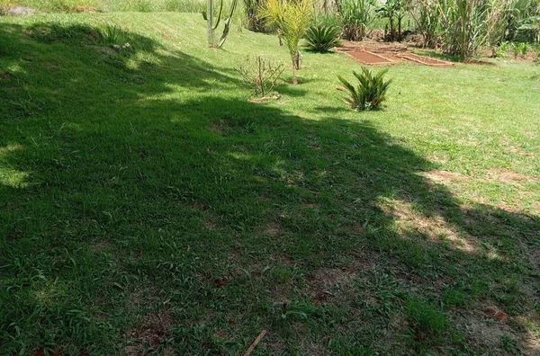 Chácara para venda,  - Selecione - Bairro, Tamarana