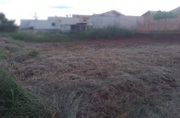 Terreno para direitos de imóveis,  , Cambe