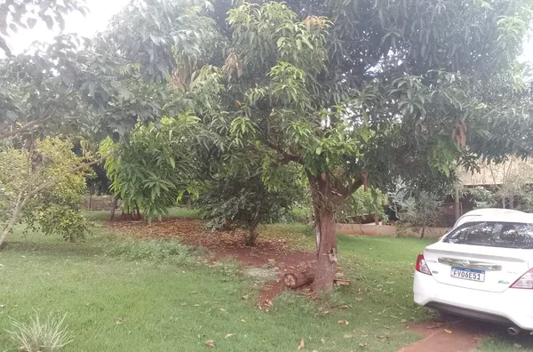Chácara para venda,  Limoeiro, Londrina
