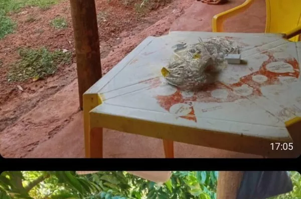 Chácara para venda,  Conjunto Habitacional Jamile Dequech, Londrina