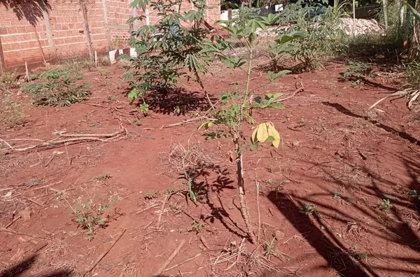 Terreno para venda,  - Selecione - Bairro, Londrina