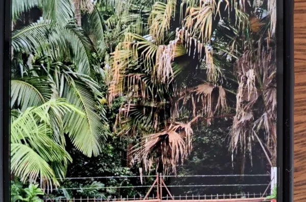 Chácara para venda, 2 quarto(s),  Lindóia, Londrina