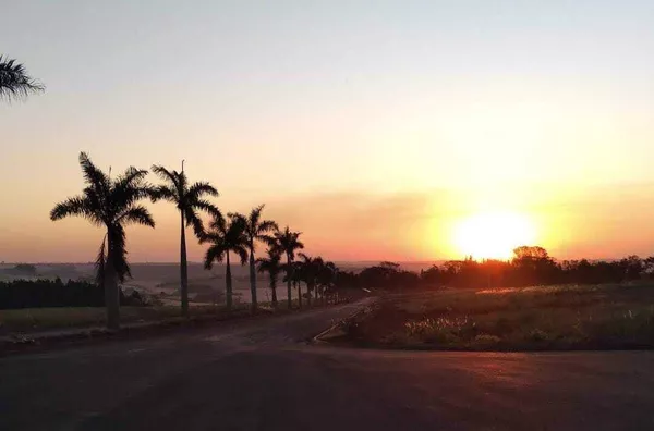 Terreno para direitos de imóveis,  , Rolandia