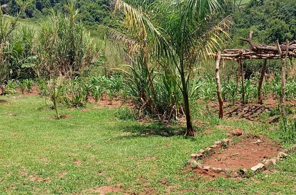 Chácara para venda,  - Selecione - Bairro, Tamarana