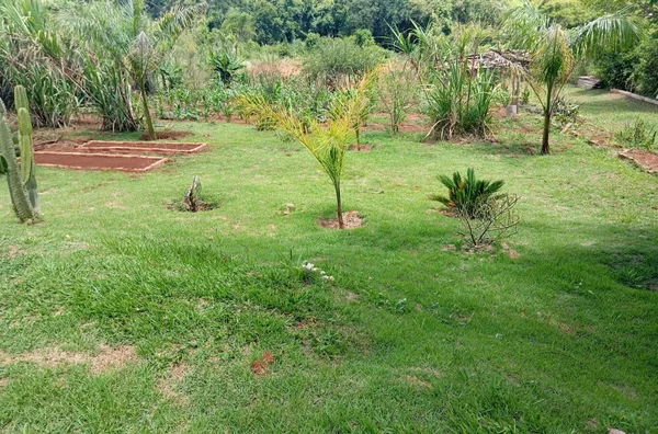 Chácara para venda,  - Selecione - Bairro, Tamarana
