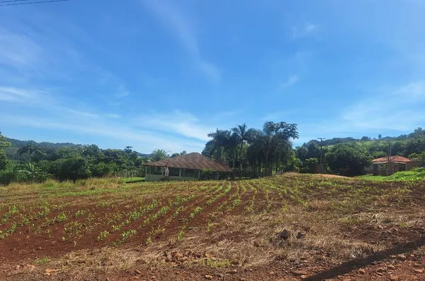 Chácara para venda,  Selva, Londrina