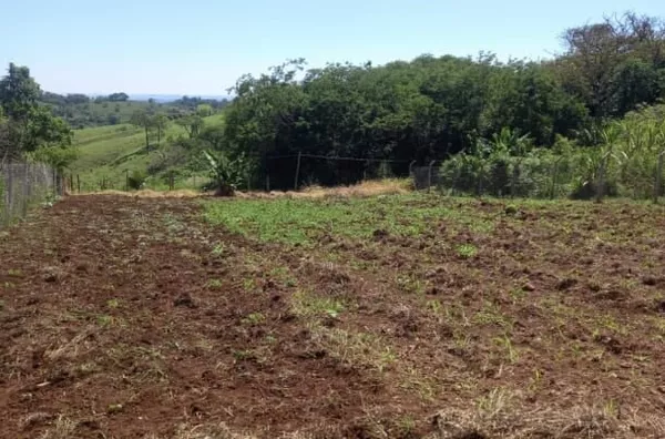 Terreno para venda,  Centro, Londrina