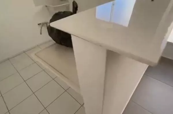 Apartamento para , 2 quarto(s),  Olímpico, Londrina