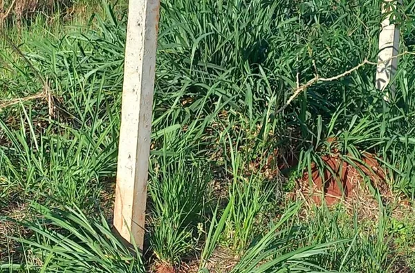 Chácara para venda,  Irerê, Londrina