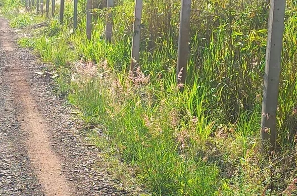 Chácara para venda,  Irerê, Londrina