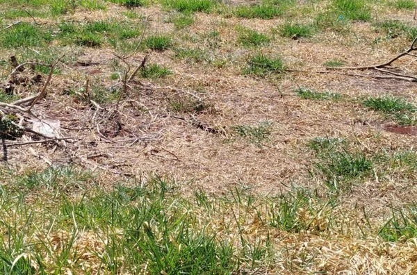Terreno para direitos de imóveis,  Jardim Santa Joana, Londrina