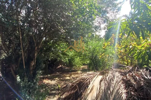 Chácara para venda,  Chácaras São Bento, Valinhos - Foto 19