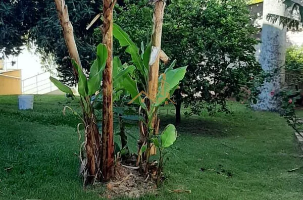 Chácara para venda, 4 quarto(s),  Vale Verde, Valinhos - Foto 11