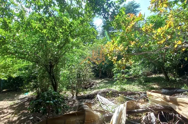 Chácara para venda,  Chácaras São Bento, Valinhos - Foto 18