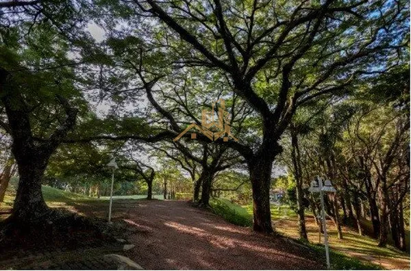 Chácara para venda,  Abadia, Louveira - Foto 20
