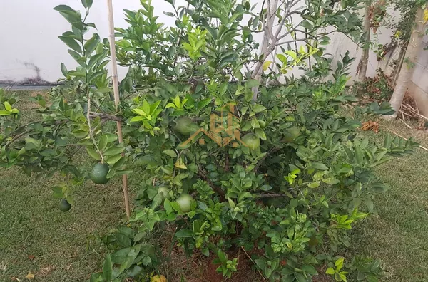 Chácara para venda, 4 quarto(s),  Vale Verde, Valinhos - Foto 15