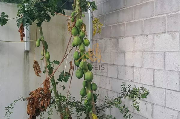 Chácara para venda, 4 quarto(s),  Vale Verde, Valinhos - Foto 16