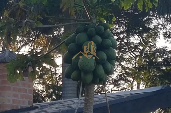 Chácara para venda, 4 quarto(s),  Vale Verde, Valinhos - Foto 14