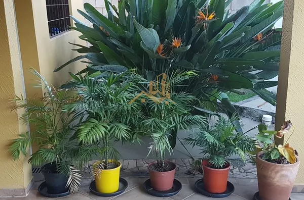 Chácara para venda, 4 quarto(s),  Vale Verde, Valinhos - Foto 22