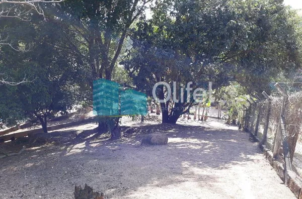 Chácara com 1696m² no bairro Monterrey, na cidade de Louveira,  sendo 137,00m de área construída. As casas são antigas, porém com boa estrutura e fundação. Piscina, pomar, poço caipira.  A chácara possui escritura do terreno, não permitindo dessa forma, f - Foto 12