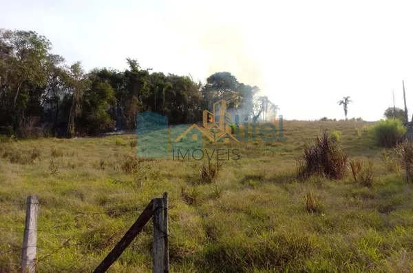 Excelente  área de 24 mil m², com boa topografia.  Agende sua visita - Foto 2