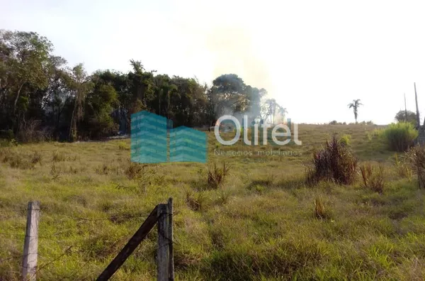 Excelente  área de 24 mil m², com boa topografia.  Agende sua visita - Foto 2