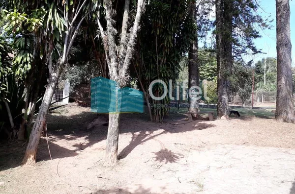 Chácara com 1696m² no bairro Monterrey, na cidade de Louveira,  sendo 137,00m de área construída. As casas são antigas, porém com boa estrutura e fundação. Piscina, pomar, poço caipira.  A chácara possui escritura do terreno, não permitindo dessa forma, f - Foto 4