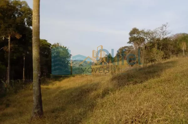 Excelente  área de 24 mil m², com boa topografia.  Agende sua visita - Foto 3