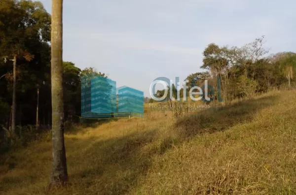 Excelente  área de 24 mil m², com boa topografia.  Agende sua visita - Foto 3