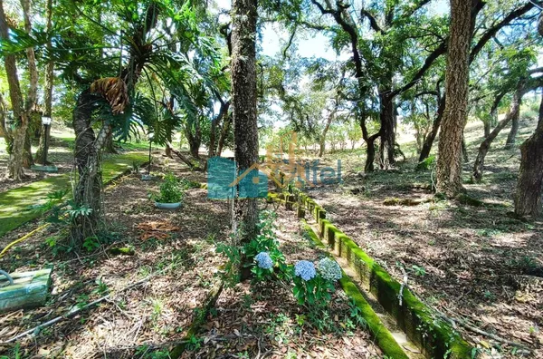Excelente Chácara com 4 dormitórios à venda, 20.000 m² por R$ 2.350.000 - Monterrey - Louveira/SP  Se você procura para sua família um lugar cercado de muito verde, asfaltado, próximo a rodovia otima localização. Este lugar é um paraíso, para você desfrut - Foto 24