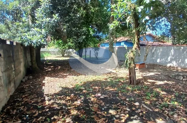 LINDO LOTE (12x30) na Martim de Sá, Caraguatatuba, SP - Foto 6