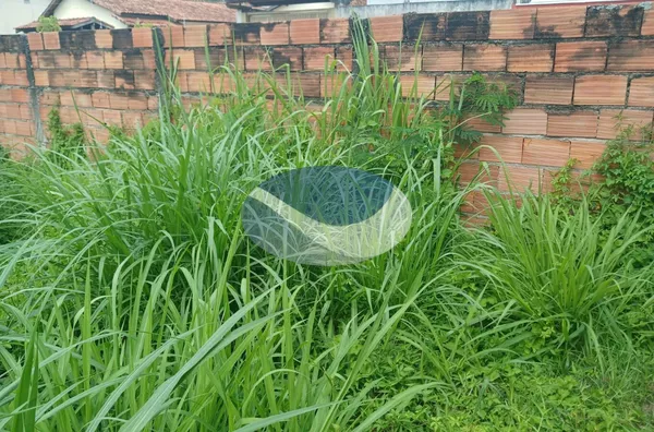 LOTE À VENDA,  300m², Martim De Sá, Caraguatatuba, SP - Foto 5