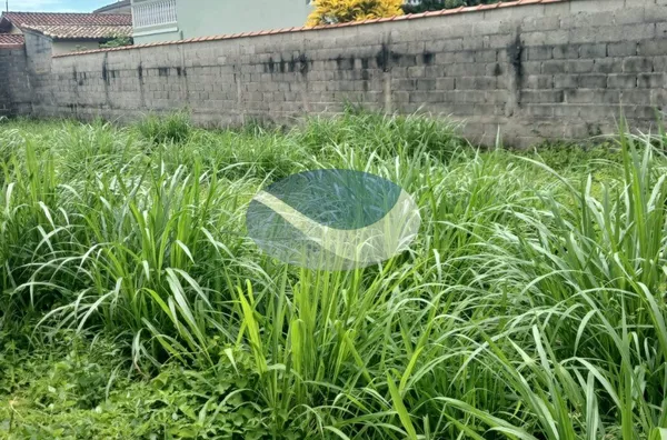 LOTE À VENDA,  300m², Martim De Sá, Caraguatatuba, SP - Foto 4