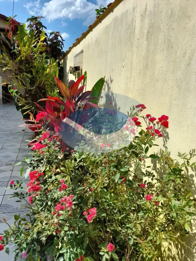 Casa, 6 quartos, 290 m² - Foto 4