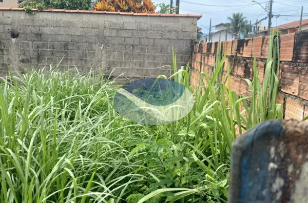 LOTE À VENDA,  300m², Martim De Sá, Caraguatatuba, SP - Foto 6