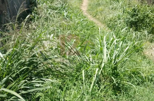 Terreno para venda,  Monte Líbano, Piracicaba - Foto 1