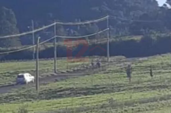 Sítio para venda,  Morada Do Sol, Analandia - Foto 2