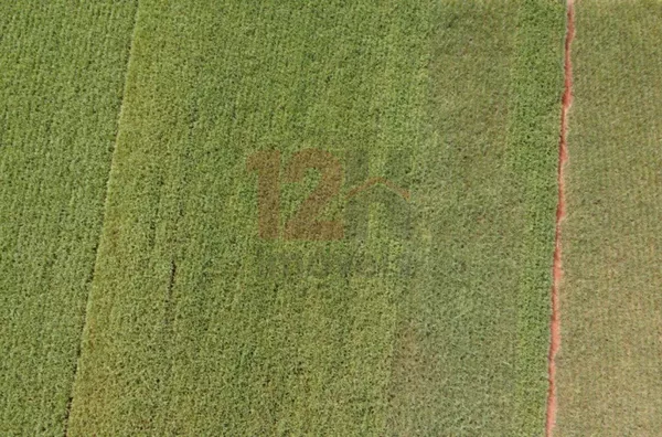 Sítio para venda,  Jardim Conceição, Piracicaba - Foto 3