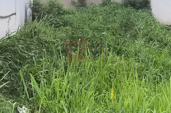 Terreno para venda,  Campestre, Piracicaba - Foto 3